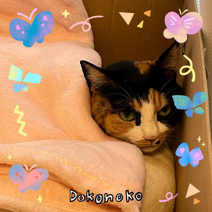 Ee31aaf0 aeaf 43a8 812b 8fda02569b85 1711010980695