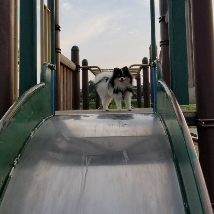 Ee31cfe8 a2c0 4f8e a3e0 faee80c483a6 1531735726051