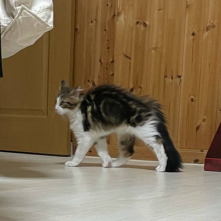 Ee31f420 1e0b 4331 9026 3dbef80dc1ae 1634473653291