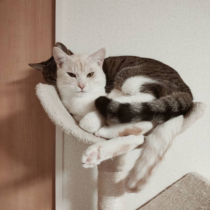 Ee323bfa 282a 486d aff5 6fe7c90554a1 1642916159767