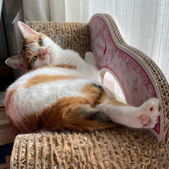 Ee323c22 da90 43af 95ac 35962ce4e308 1661062667760