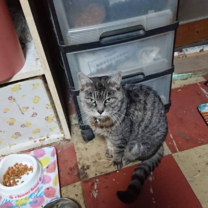 Ee324488 bf7f 40fc a760 84b9a2cce1d2 1606683815626