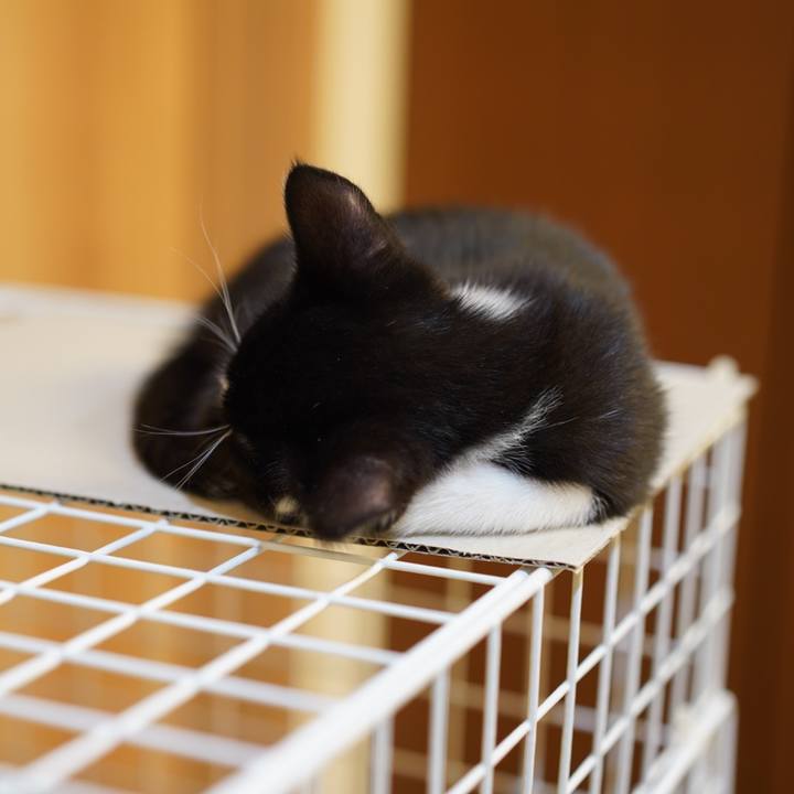 Ee32500e 7f3d 4113 8368 bac3ed05540a 1567658164858