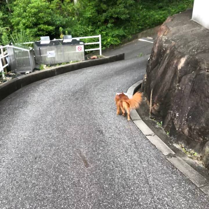 Ee329631 3d61 4fe7 a329 ecb81130eb74 1595590566008