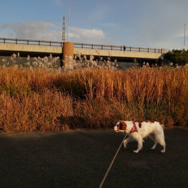 Ee32cc23 bec7 417c b70b f395e5eeee80 1605441732459