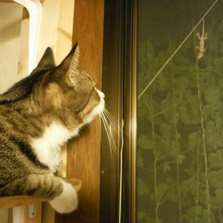 Ee32e0a3 a223 48b0 9899 4ee0b9ddf90b 1535959840123