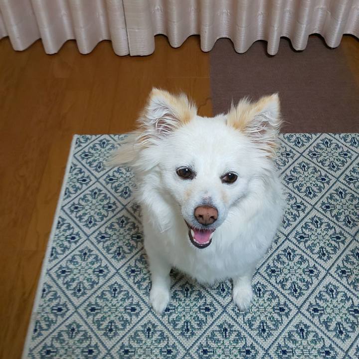 Ee32f759 feba 4482 af71 693f595af565 1716557582865