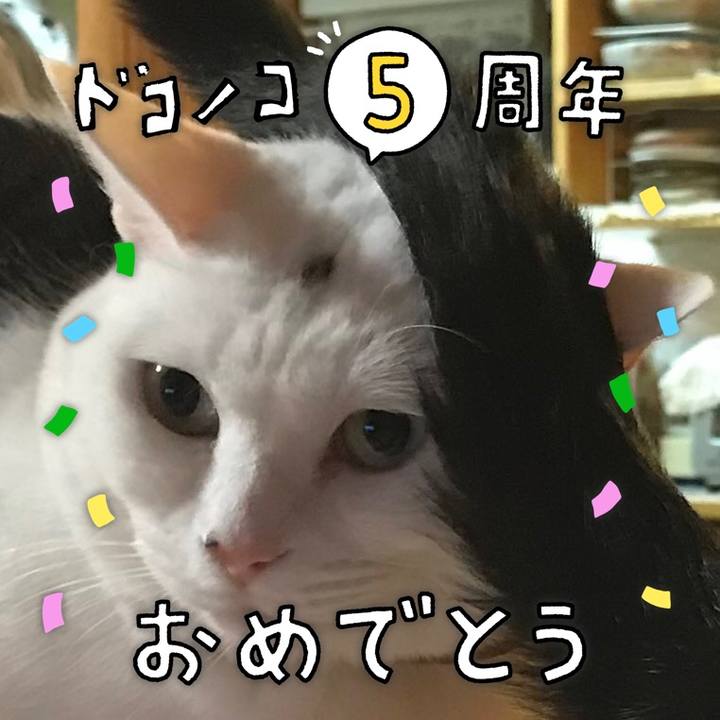 Ee331084 9c65 4342 89af 6e7a18adc199 1622884190759