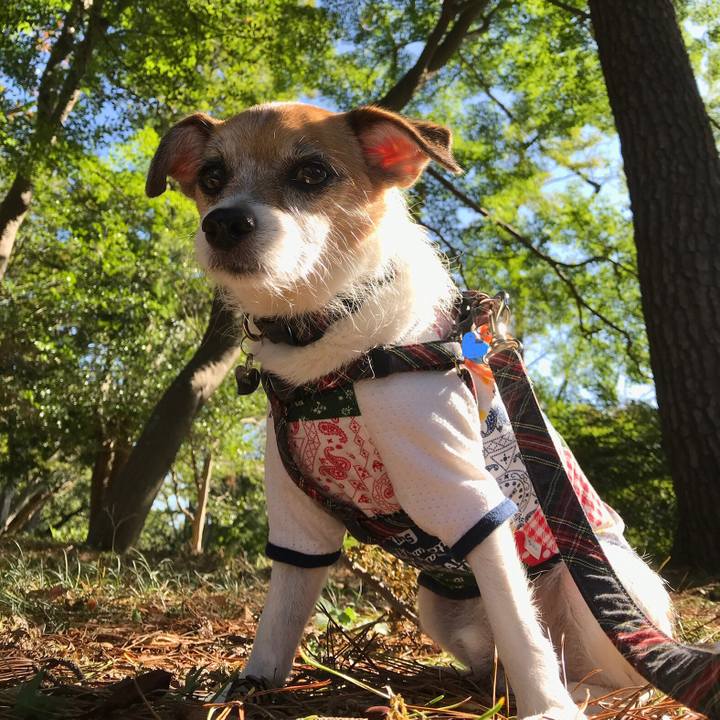 Ee331486 9504 4304 a91e 1c18f6dfbd04 1571801121918