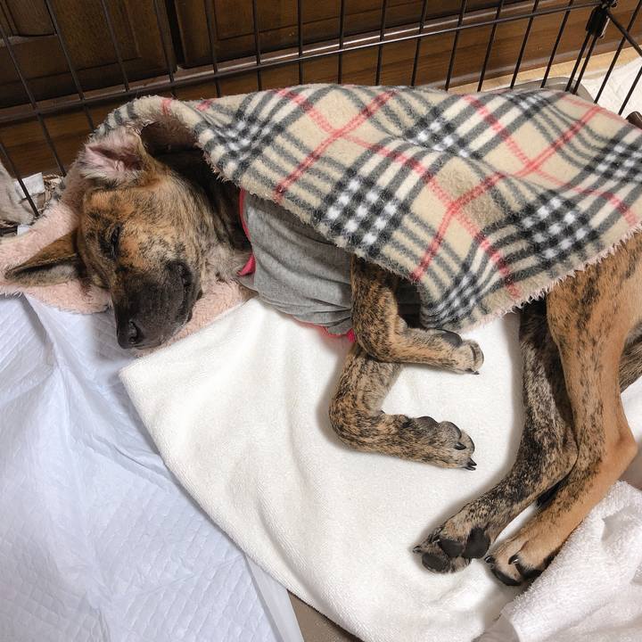 Ee331862 3410 4f05 a5b7 fb8f5258c09a 1573042200307