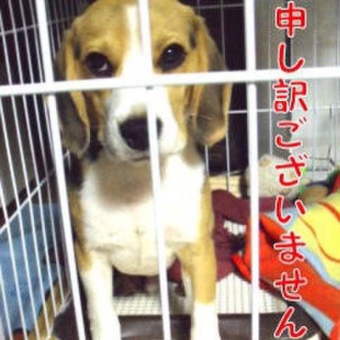 Ee334e14 fb22 4620 89c6 81cb56a8f479 1680913898015