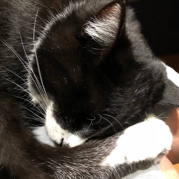 Ee3354b7 bd47 49be b6b0 016289ebd14f 1519185220845