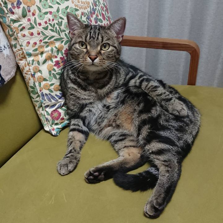 Ee336827 73e4 49b5 bf41 49a925a78f7e 1560249907276