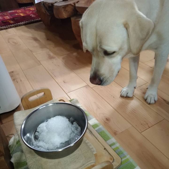 Ee339a63 a293 4994 82d3 1a400abeea08 1567076578525