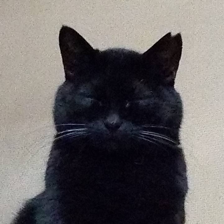 Ee33aa81 9429 4eca 8c75 249e5c49af71 1608594558995