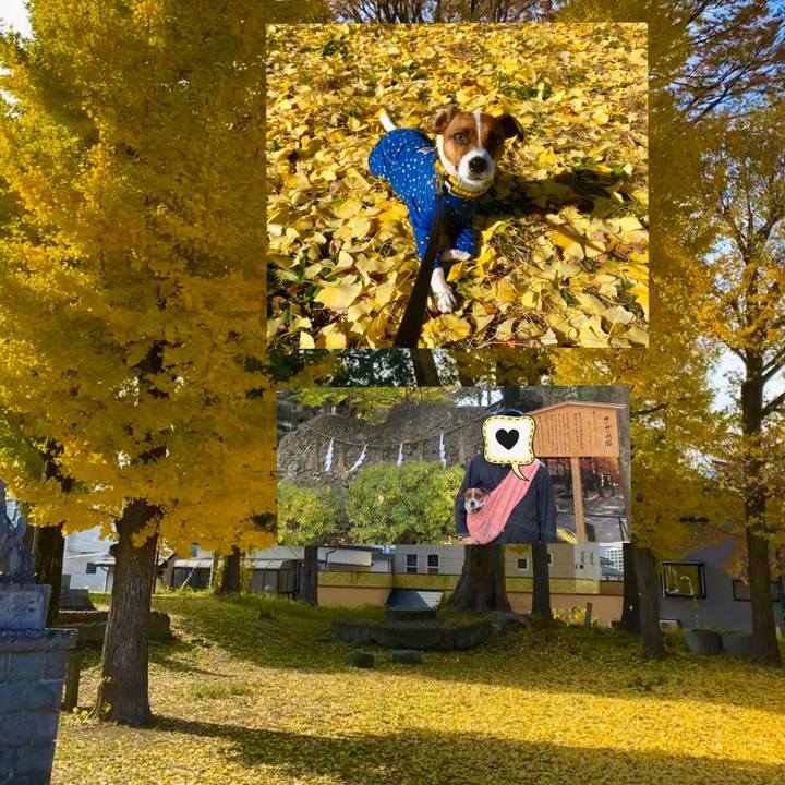 Ee33ac47 ef5c 4141 b772 e1870d5001f1 1574250691448