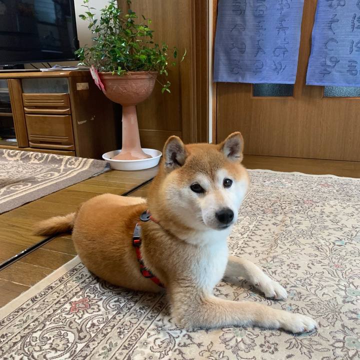 Ee33c545 6759 4e71 905d f869efac9aca 1655290637967