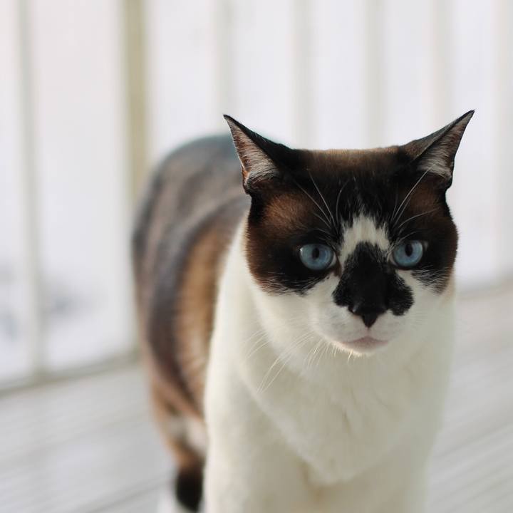 Ee33c6b1 5fe5 4f99 8df5 d535a30851a7 1560812885119