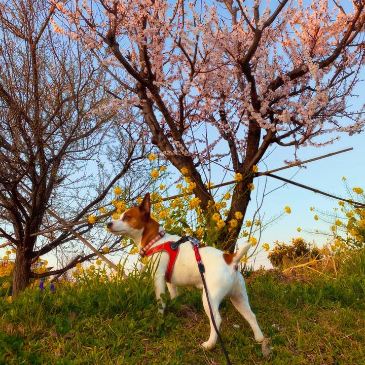 Ee33e3a2 9aa4 4103 a654 2c17c9ee877c 1584450724268