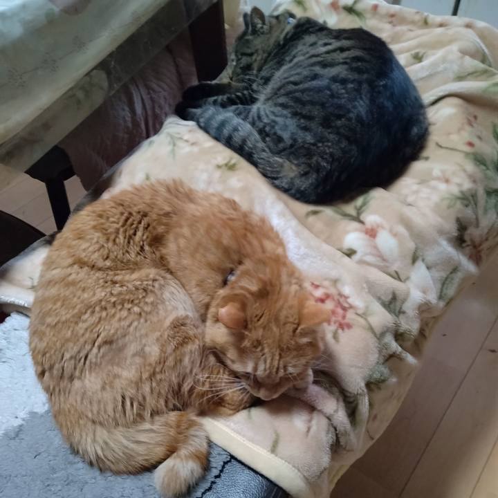 Ee33ef99 f28b 49d8 bf66 80c0daf8c894 1673486056572