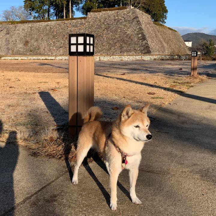 Ee341c52 c196 4fd6 b4fc adcdcf39e8cb 1672817905058