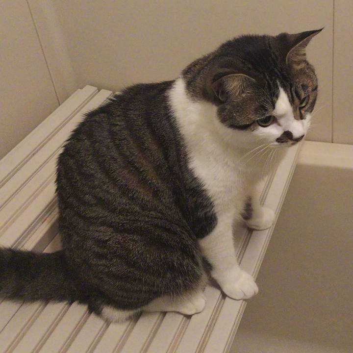 Ee3429c7 e23a 4071 9664 20e1af701d23 1659099262865