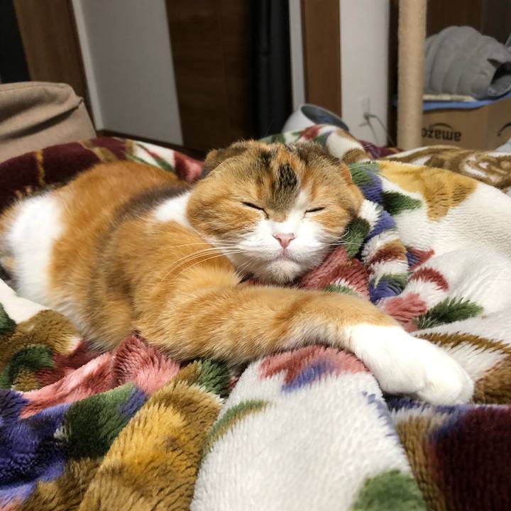 Ee34935b b1fc 41b2 a476 4f911c628295 1585747486710