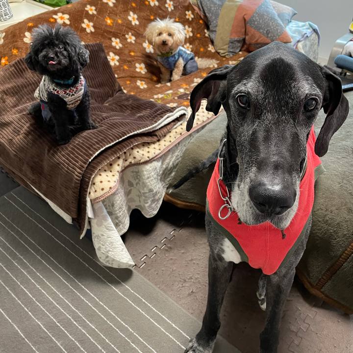 Ee349f15 0e18 45b4 884b 3dbc16562b44 1614292271780