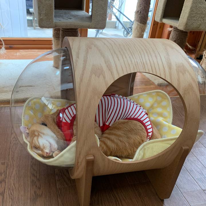 Ee34a317 9b4a 4dc2 bfbb 00bf637d942f 1592706562480