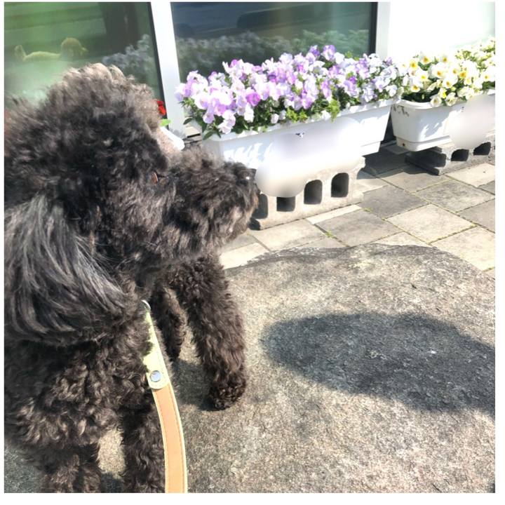 Ee34a820 778c 4714 b407 9433ad0659da 1617891027604