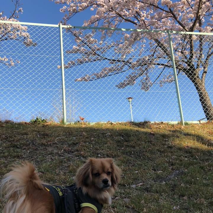 Ee34b291 4b40 42fe 8285 ebcb6988963e 1522362798992