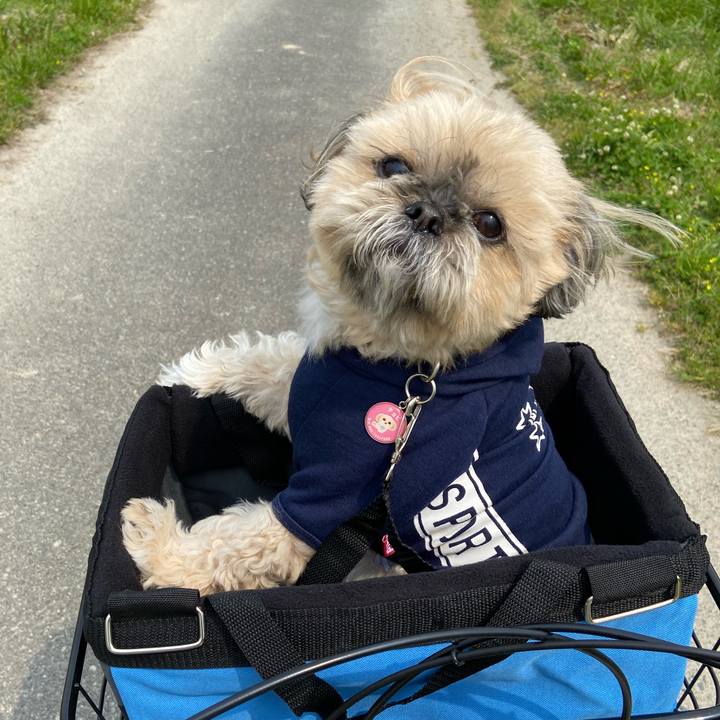 Ee34d359 85b8 465f b0d6 5bf8160ee0cc 1587989222211