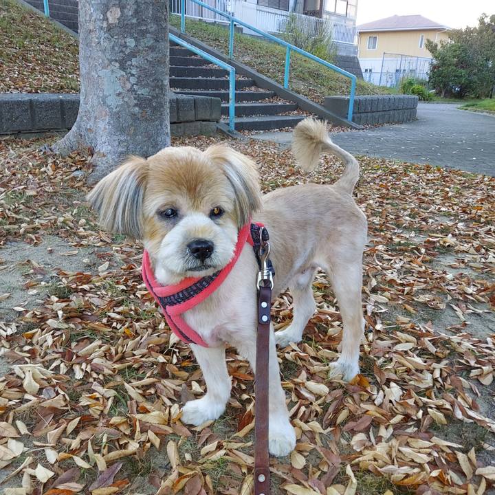 Ee34eda3 d0c5 49d3 954d dfb2a38b79c5 1667812874200