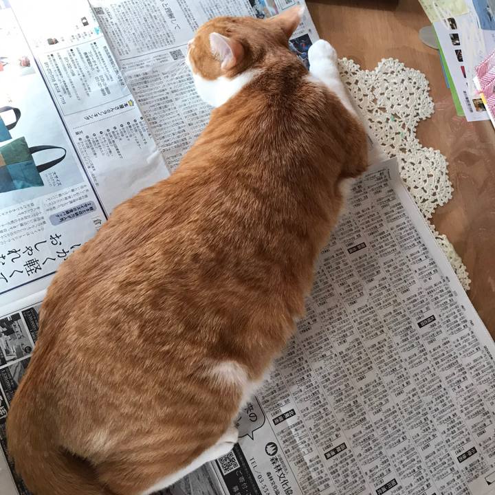 Ee353dd6 865d 4a2d a237 1a20cf585b94 1683670009618