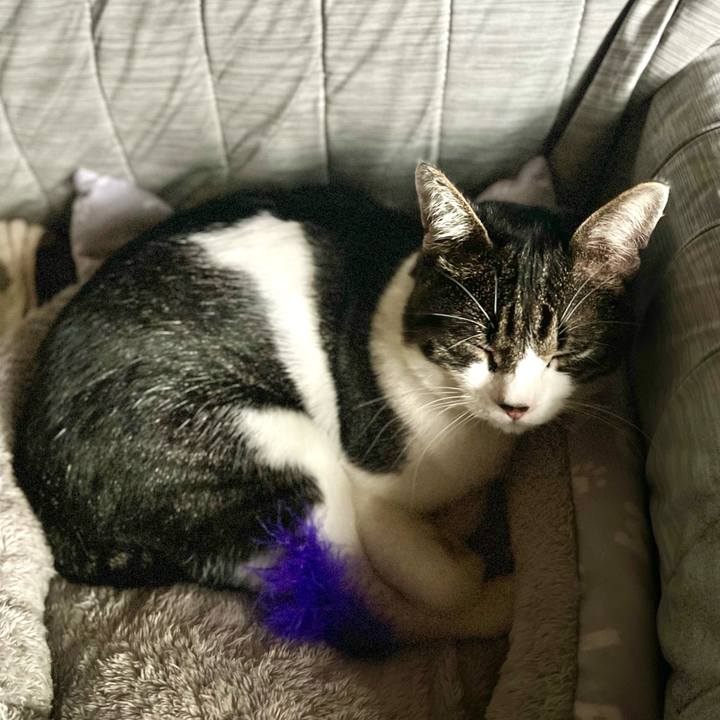 Ee354e85 9788 440e a846 623d55960f20 1761135225684