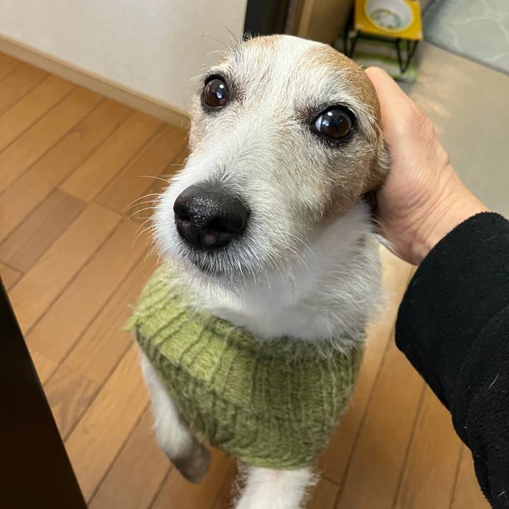 Ee355dba 7c9e 4ecf ad7e 74cc77c15817 1709681179862