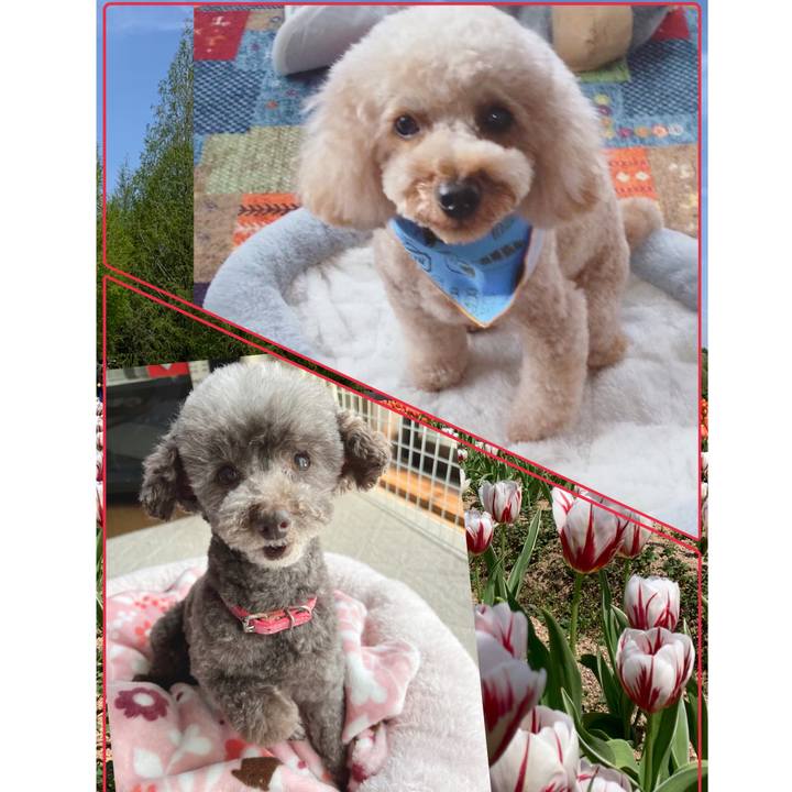 Ee3592f3 f2ec 49cd b967 384d1bf31c0b 1682571620681