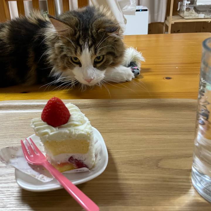 Ee35b31b 475c 43b4 b1e6 543d5ebdd605 1656414596899