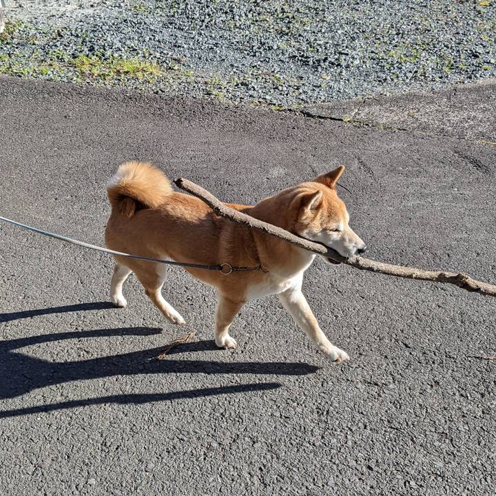 Ee35bc74 549d 40b1 8f47 09803a5c34eb 1645235126797