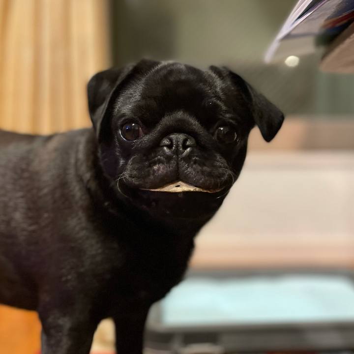 Ee35ec54 0a17 4695 ac4c fe64099eb0a9 1616068139839