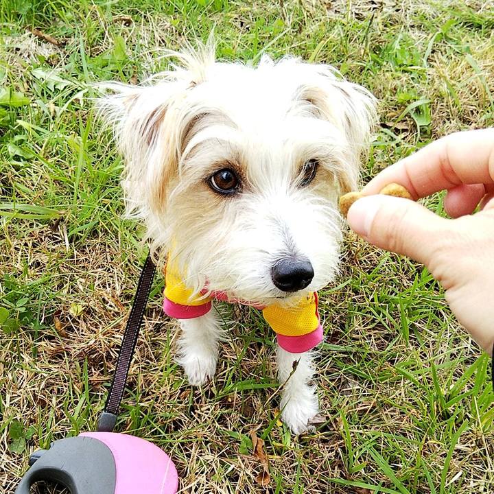 Ee35eec3 33cd 4643 9d36 700b3017e56b 1575787456917