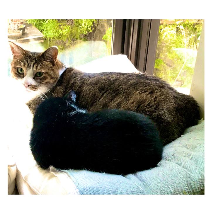 Ee35fb42 bd9e 42b8 bfb0 bd30c7812df5 1574228340843