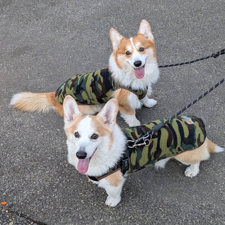 Ee3673ee 5aaa 40b9 add2 58c9637953f5 1767160354390