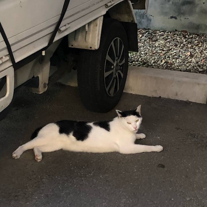 Ee36b847 e99d 476b 8095 0223da1553ce 1599975518853