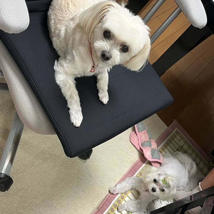 Ee36f0b6 36f1 488e 9a37 e0c3c1ead286 1729077528208