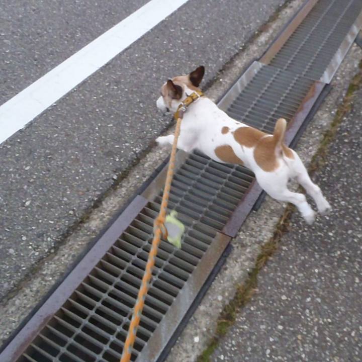 Ee36f770 b288 4b9f 877f a03c137e8617 1523428428795