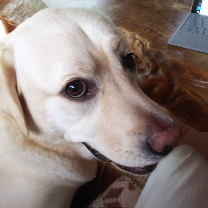 Ee36f93e 72bc 40c2 8b05 e4697a31d109 1533702769238