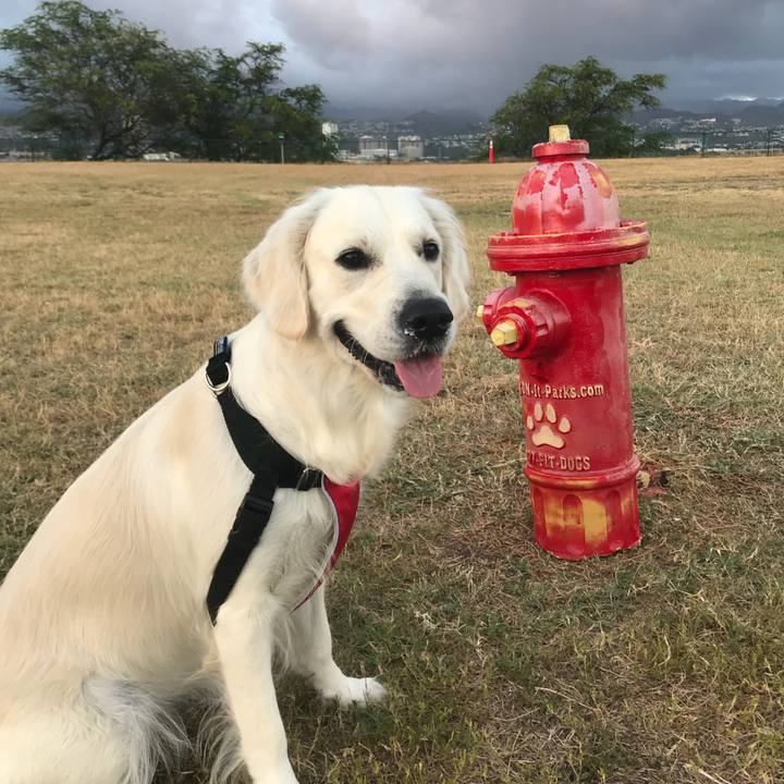 Ee370a7b 1b37 4445 a344 1597d9ed30f9 1530688244689