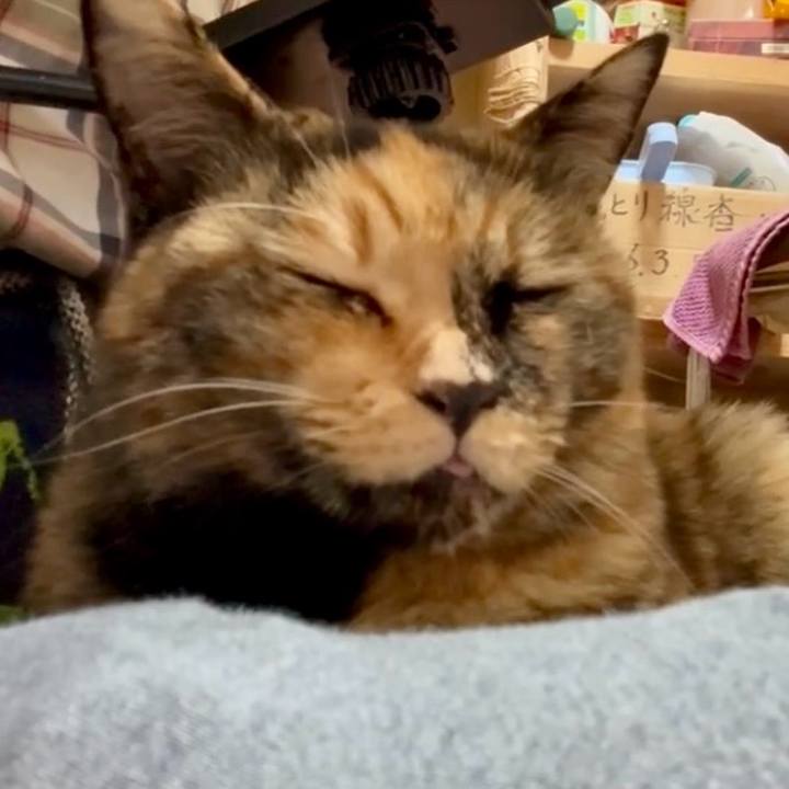 Ee37456c 824f 4e2a 81ab a72e7ae347e2 1761100953732