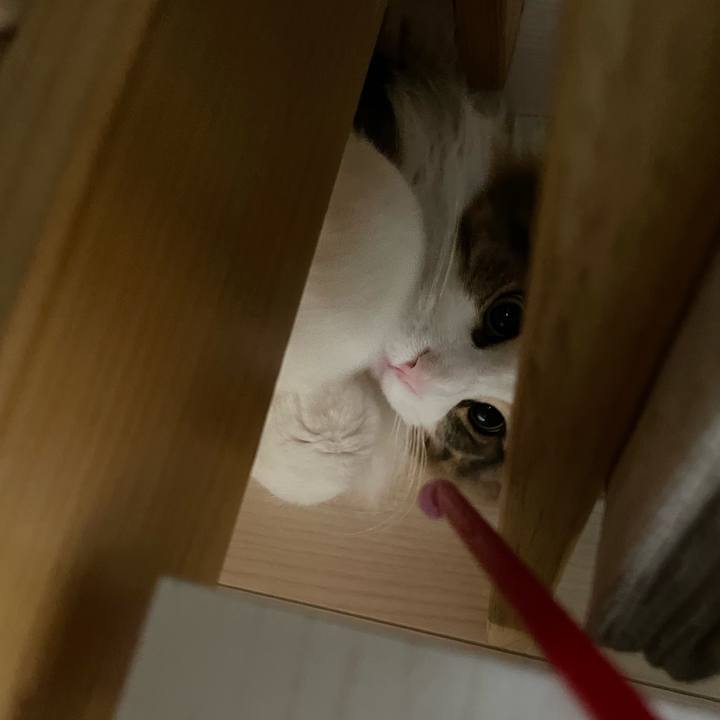 Ee375b9f fd3e 48d0 8730 034c7a9737d3 1642370224997